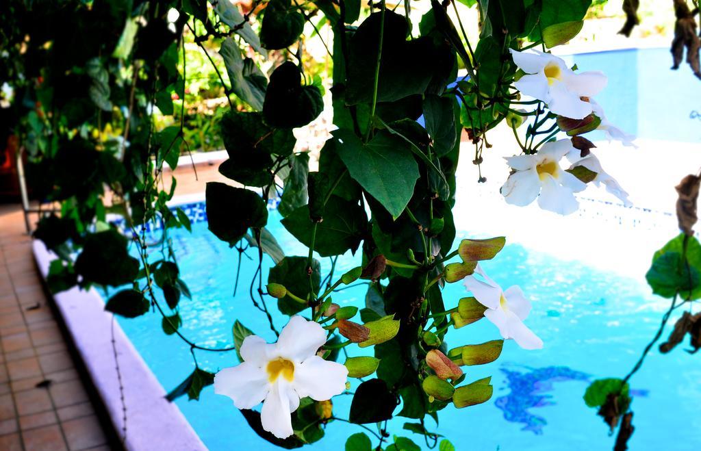 Casa Ramirez Pansiyon Panama Dış mekan fotoğraf